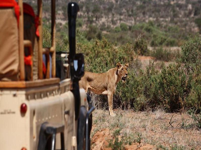 Saruni Samburu Villa Buitenkant foto
